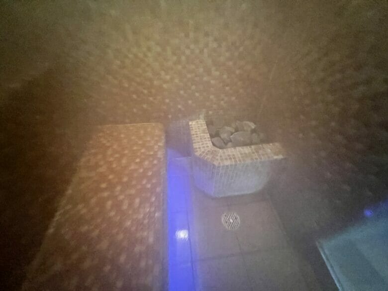 シェラトン広島 サウナ ミストサウナ