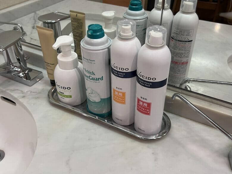 神戸ベイシェラトン ホテル&タワーズ プール 子供 プラチナ 料金