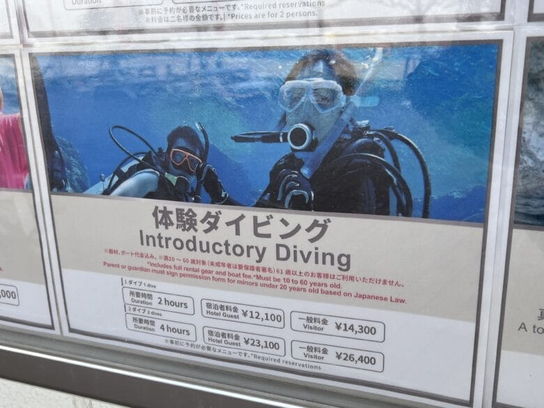 シェラトン沖縄サンマリーナリゾート　アクティビティ　ブログ　ジップライン　料金　