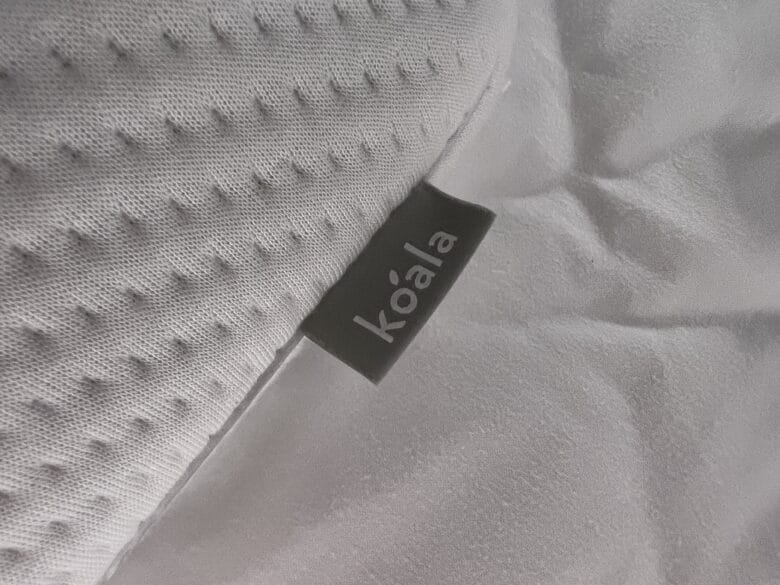 モクシー大阪本町　コアラ