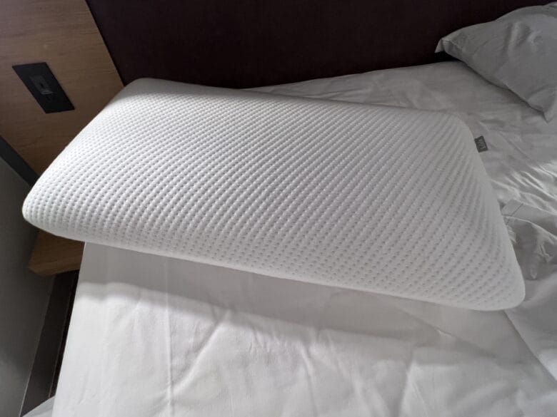 モクシー大阪本町　コアラ