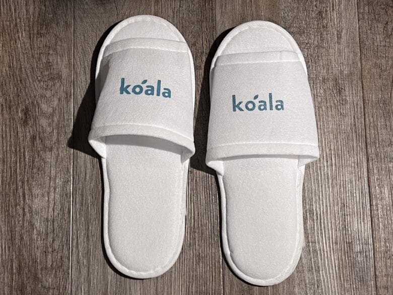 モクシー大阪本町　コアラ